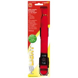 Heitech LED Leucht-Halsband für Hunde