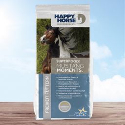Happy Horse Mustang Moments