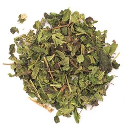 BIOTEAQUE brennende Lissy