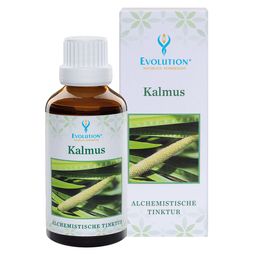 Evolution Kalmus Tinktur