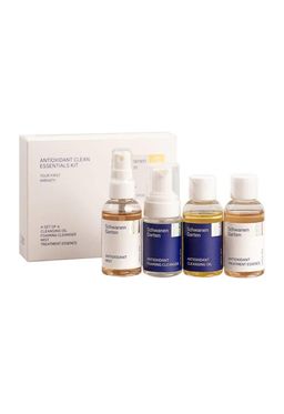 Antioxidant Clean Essentials Kit