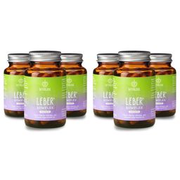 BitterLiebe - Leber* Kapseln - Leberkur - natürliche Unterstützung der Leberfunktion* mit Cholin