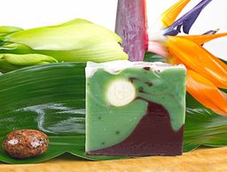 GREENDOOR Naturseife Waldfee