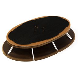 Sensosports Balance-Board Sensoboard