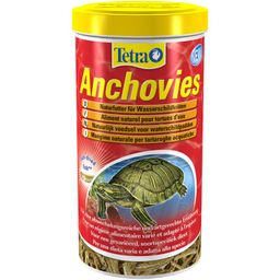 Tetra Anchovies