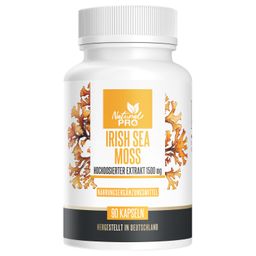 Irish Sea Moss Kapseln 1500mg | Hochdosierter Extakt aus Irischem Moos | Vegan