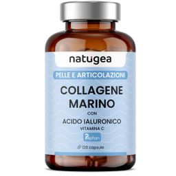 Marine Collagen Hydrolysed PEPTAN® - natugea®