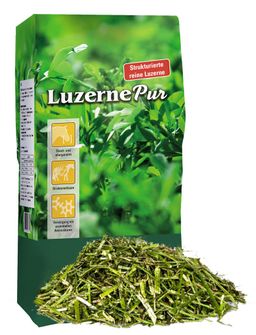 DERBY Luzerne Pur