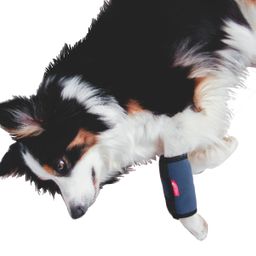 HerzensTier Kühl- und Wärmebandage für Hunde & Katzen