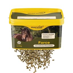 Marstall Force