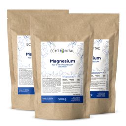 Echt Vital Magnesium Pulver