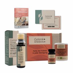 Salufast Gelenk+ Box - 14-Tage Intensivkur