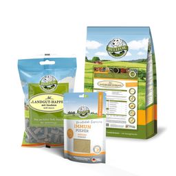 Sparset von Bellfor für mittelgroße Hunde mit Leishmaniose