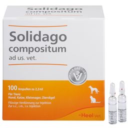 Solidago compositum ad us. vet. Ampullen