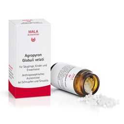 WALA® Agropyron Globuli Velati