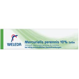 Mercurialis perennis 10% Salbe für Schrunden, Fissuren, Wunden, Furunkeln, Ekzemen, auch mit Eiter