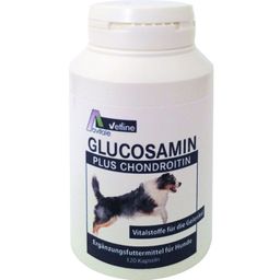 Avitale vetline Glucosamin + Chondroitin