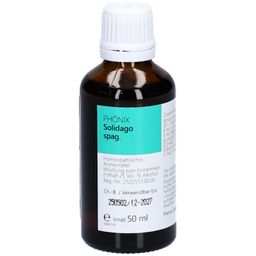 Phönix Solidago spag.