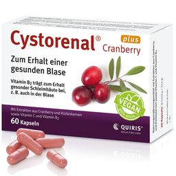 Cystorenal Cranberry plus für eine gesunde und starke Blase, mit Kürbiskernextrakt, Vitamin B2 und C