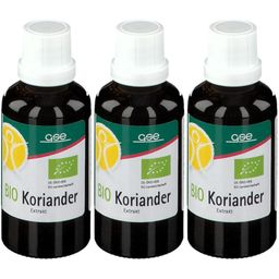 BIO Koriander