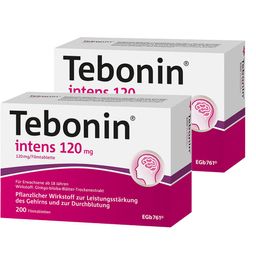 Tebonin® intens 120 mg