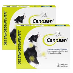 Canosan® Kautabletten für Gelenkgesundheit bei Hunden mit Grünlippmuschel-Extrakt Gonex®