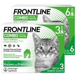 FRONTLINE COMBO® Spot on gegen Flöhe und Zecken Katze - Jetzt 10% mit dem Code frontline10 sparen*