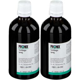 Phönix Solidago spag.