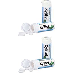 miradent Xylitol Chewing Gum Minze