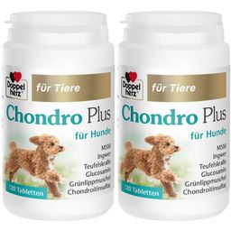 Doppelherz Chondro Plus für Hunde