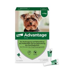 Advantage Spot-On 40 gegen Flöhe für sehr kleine Hunde  bis 4 kg Körpergewicht, schneller und effektiver Flohschutz für bis zu 4 Wochen