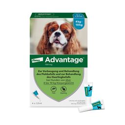 Advantage Spot-On 100 gegen Flöhe für große Hunde von 4 bis 10 kg Körpergewicht, schneller und effektiver Flohschutz für bis zu 4 Wochen
