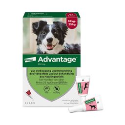 Advantage Spot-On 250 gegen Flöhe für mittelgroße Hunde von 10 bis 25 kg Körpergewicht, schneller und effektiver Flohschutz für bis zu 4 Wochen