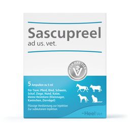 Sascupreel® ad us. vet. Injektionslösung für Tiere Ampullen