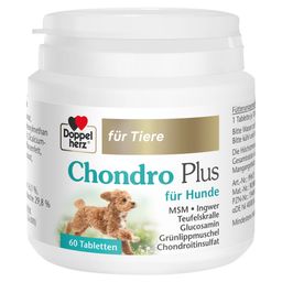 Doppelherz Chondro Plus für Hunde Tabletten