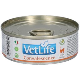 Nassfutter Farmina VetLife Convalescence - Cat Adult