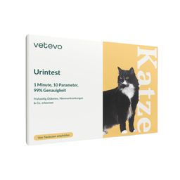 Urintest Katze