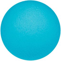 Sport-Thieme Handtrainer Physioball
