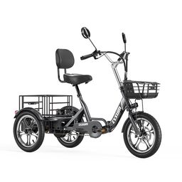 Cysum T1 Pro Elektrisches Lastendreirad, 250-W-Motor, 48-V-22-Ah-Akku