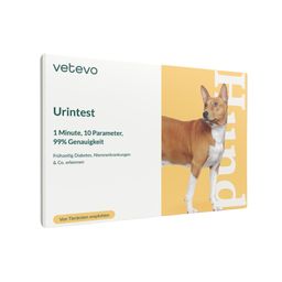 Urintest Hund