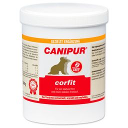 Canipur corfit