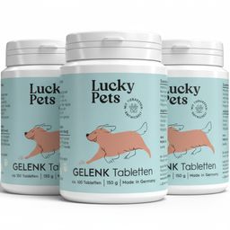 Gelenktabletten für Hunde – mit Grünlippmuschel, Teufelskralle, MSM und Glucosamin