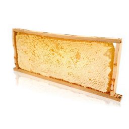 ImkerPur. Ganzes Wabenrähmchen