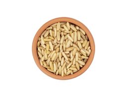 Sunnah Shop® Premium Pinienkerne