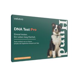 DNA Test Rassebestimmung Pro Hund