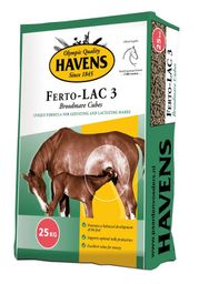 Havens Ferto-LAC 3 Stuten spez.