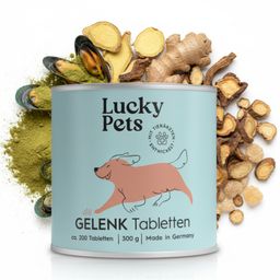 Lucky Pets Gelenktabletten für Hunde 200 Tabletten – mit Grünlippmuschel, Teufelskralle und MSM
