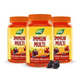 Nature's Way Immun Multivitamin Gummies - Mit Vitamin A, C, D & Zink fürs Immunsystem