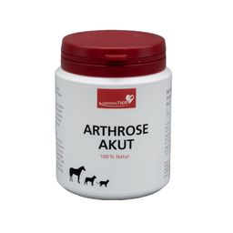 HerzensTier Arthrose akut für Hunde, Katzen & Pferde