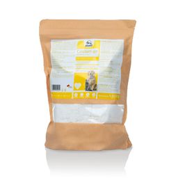 FORTAN Calcium 40 Pulver – Optimale Calciumversorgung bei BARF